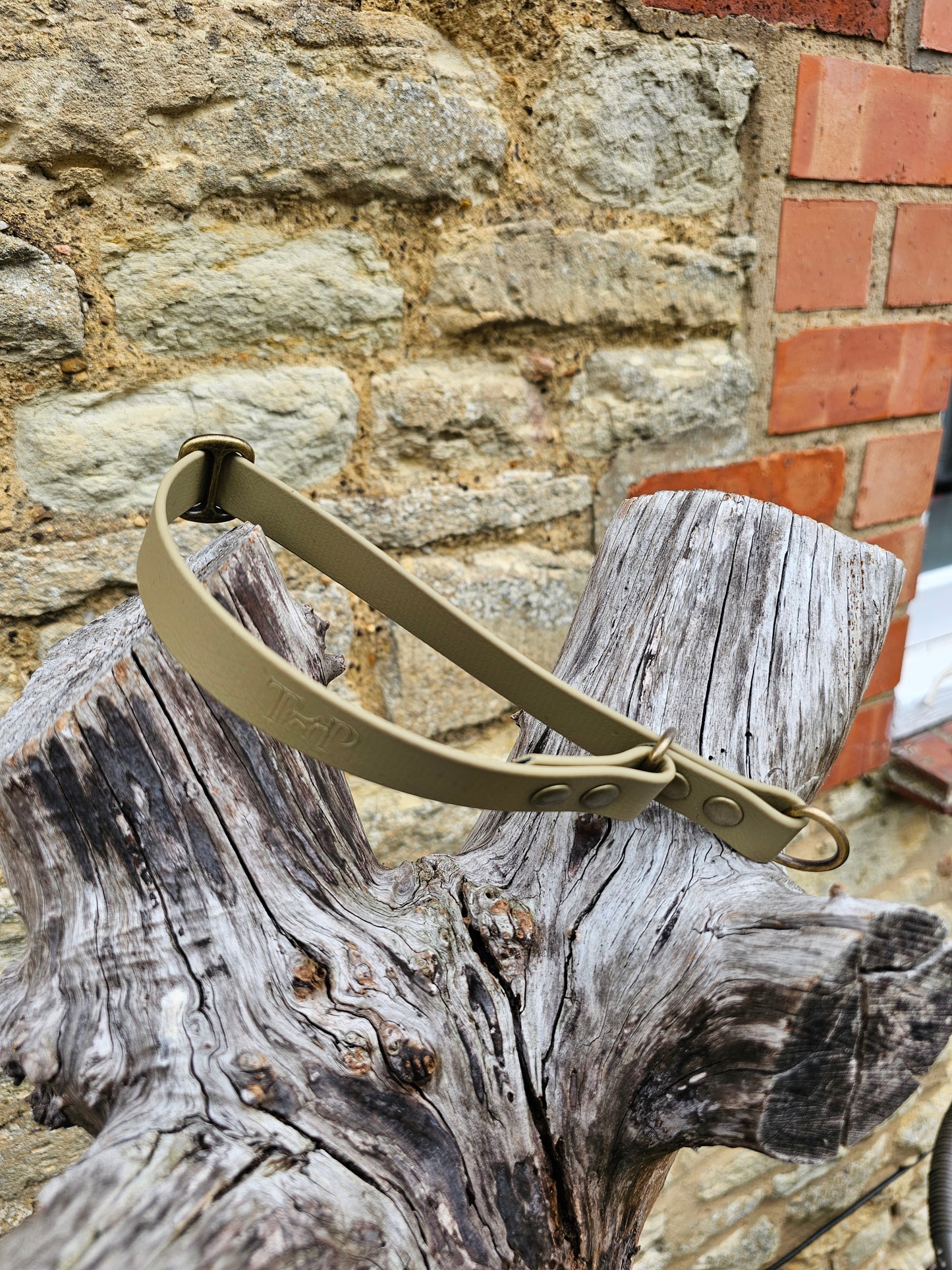 Clay - Waterproof BioThane® safe-stop Slip Collar