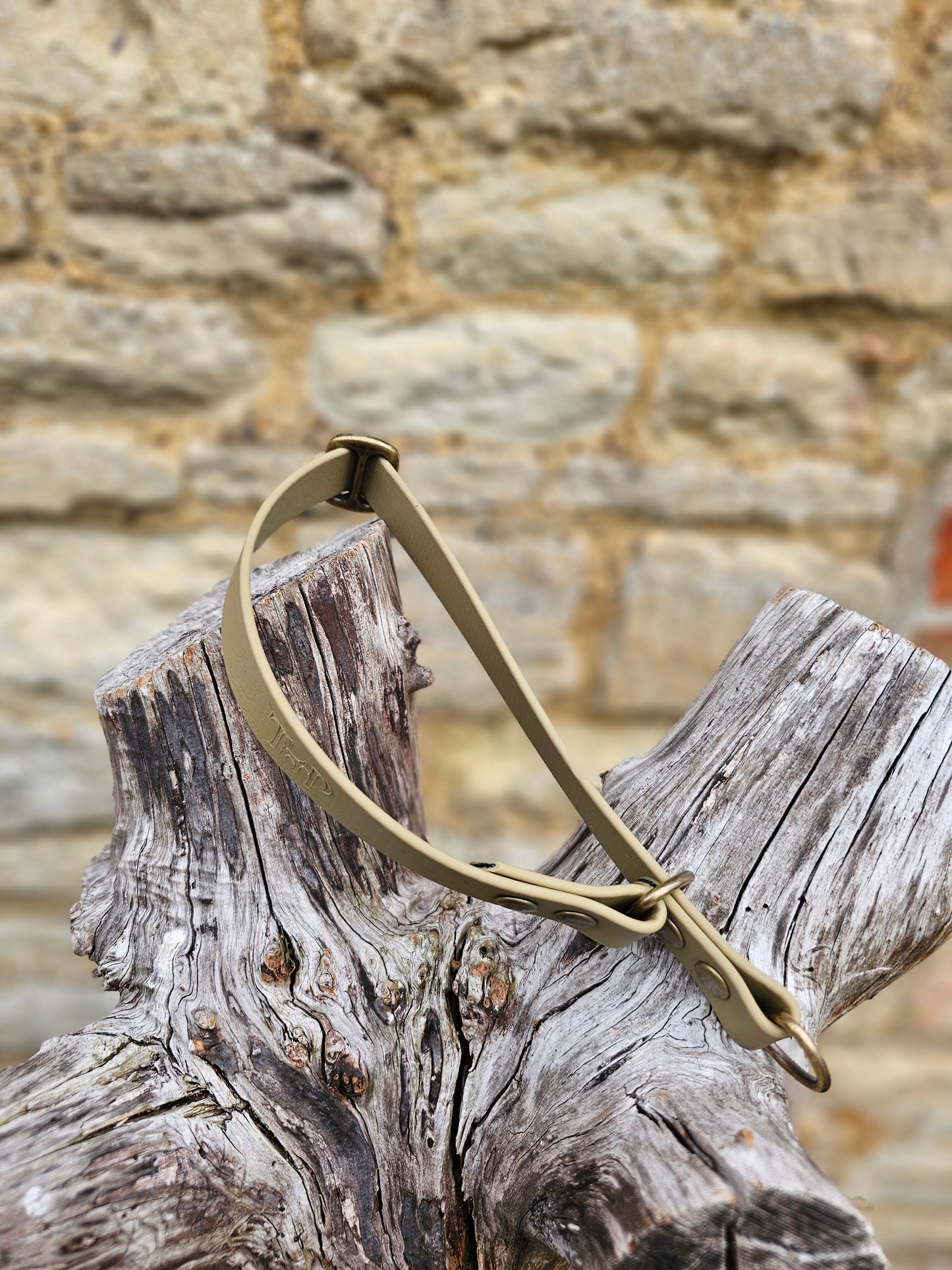 Clay - Waterproof BioThane® safe-stop Slip Collar