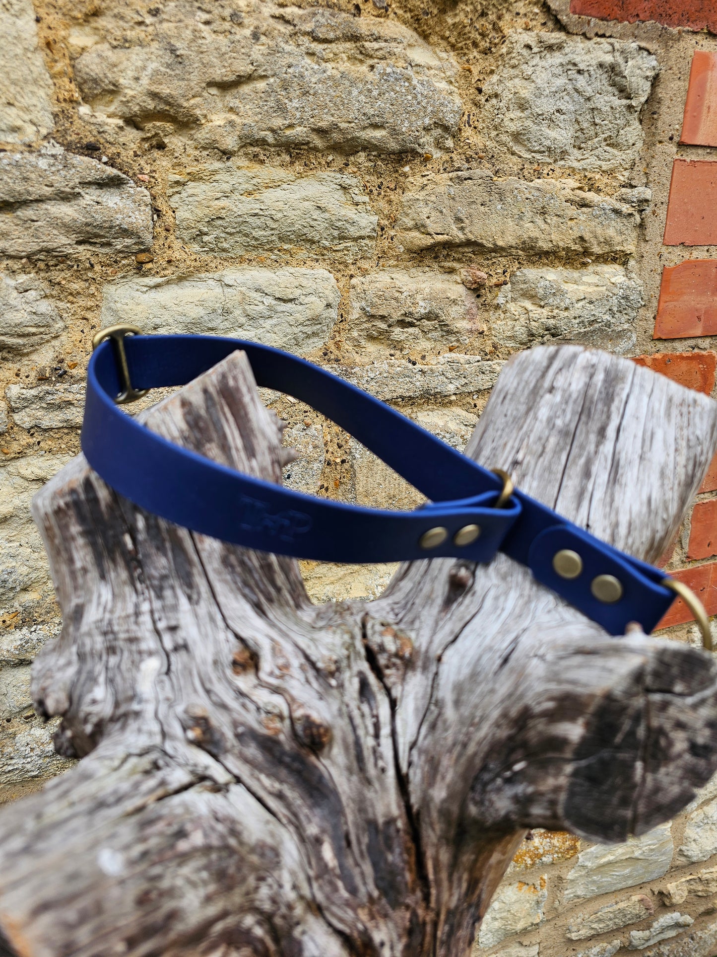 Navy Waterproof BioThane® safe-stop Slip Collar