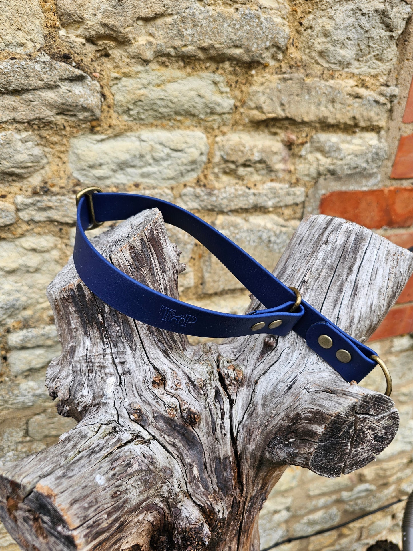 Navy Waterproof BioThane® safe-stop Slip Collar