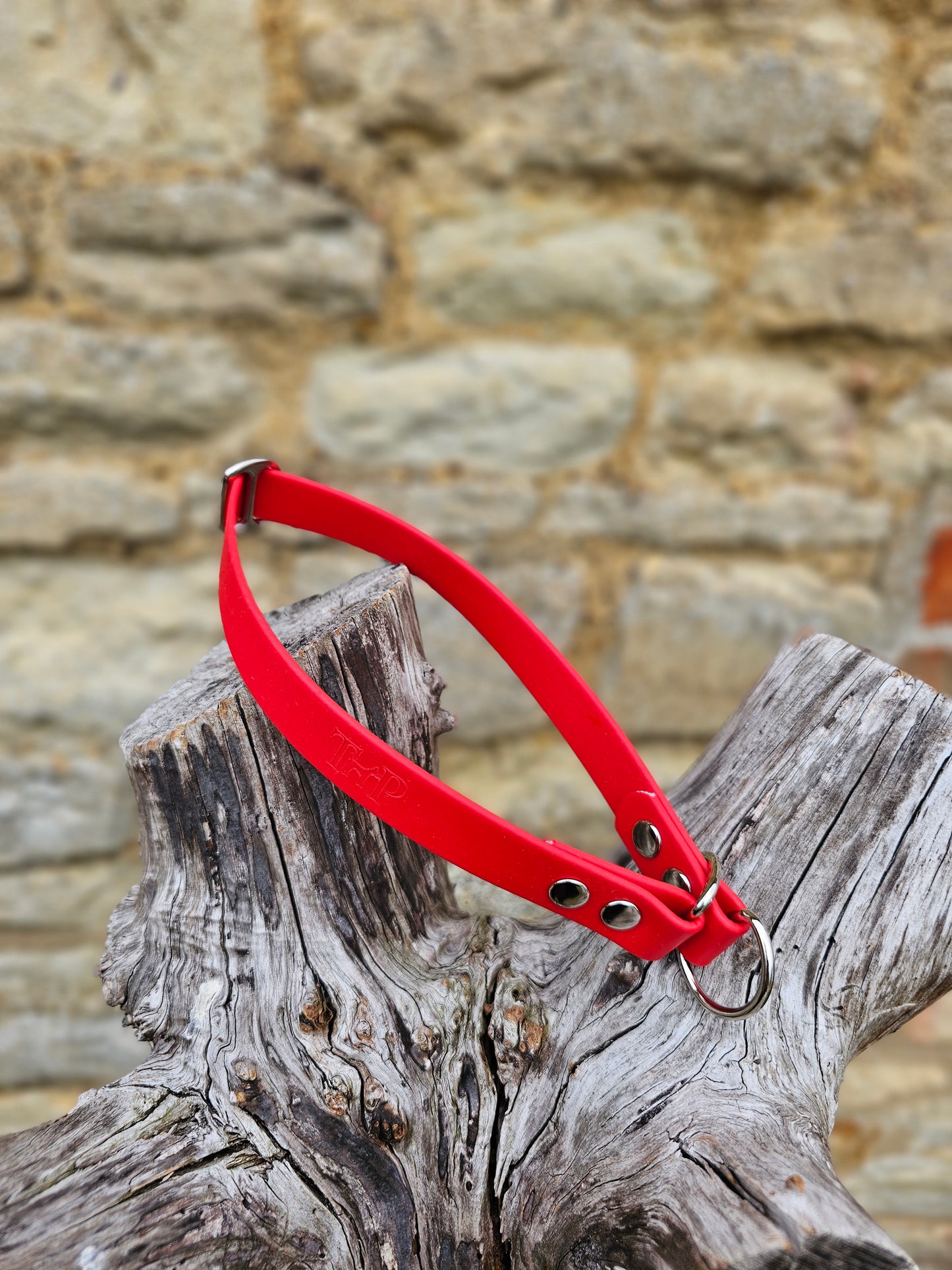 Red Waterproof BioThane® safe-stop Slip Collar