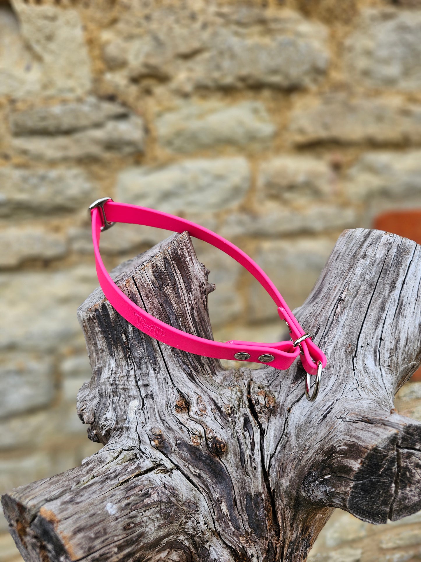 Passion Pink Waterproof BioThane® safe-stop Slip Collar