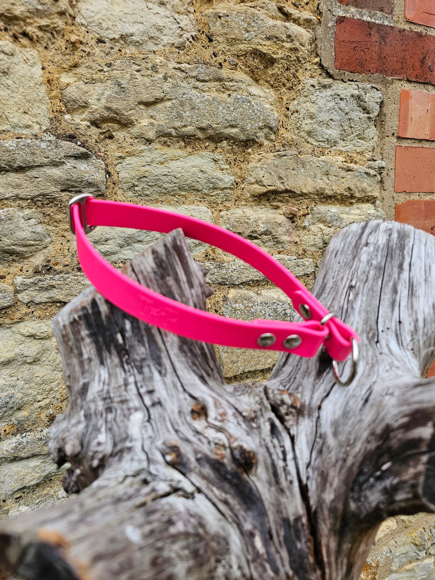Passion Pink Waterproof BioThane® safe-stop Slip Collar