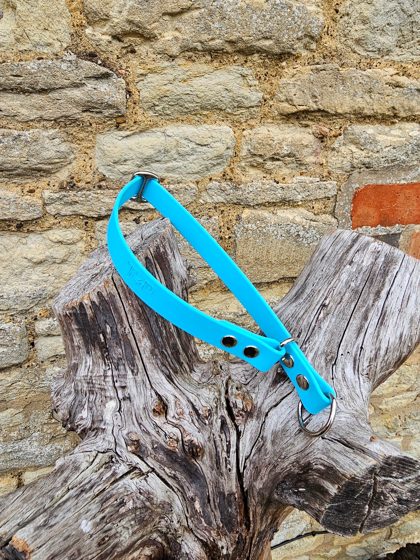 Neon Blue Waterproof BioThane® safe-stop Slip Collar