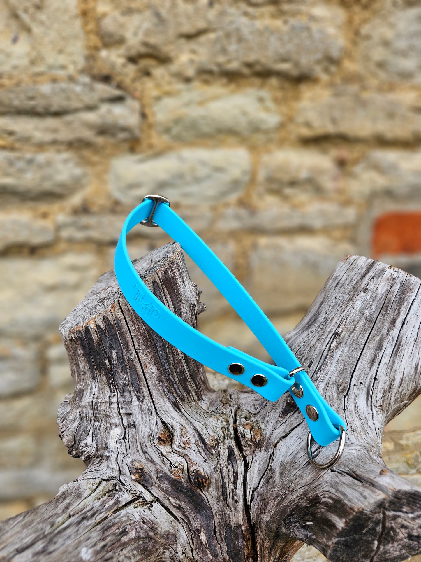 Neon Blue Waterproof BioThane® safe-stop Slip Collar