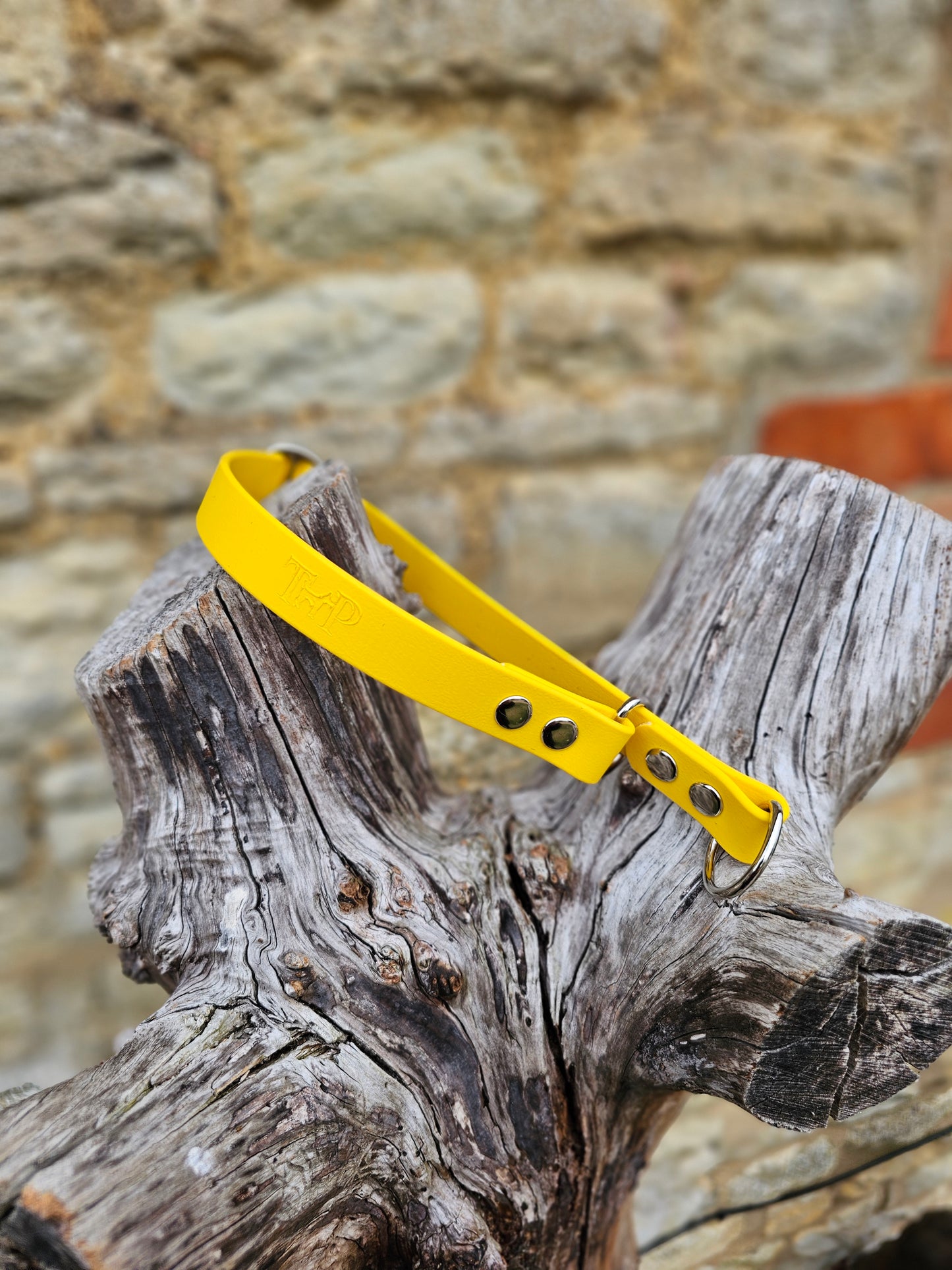 Yellow Waterproof BioThane® safe-stop Slip Collar