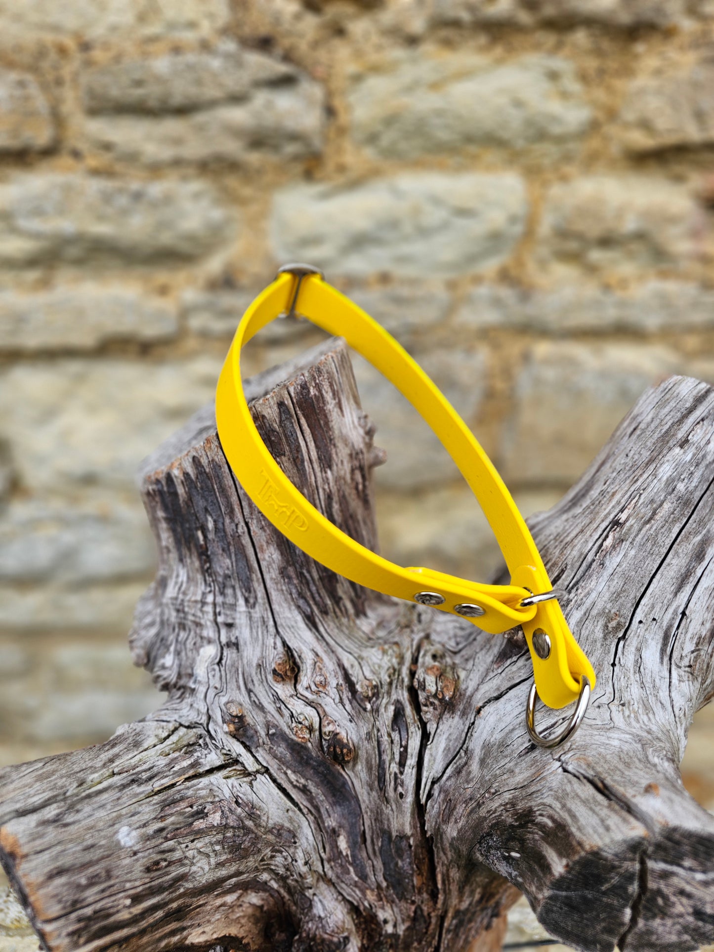 Yellow Waterproof BioThane® safe-stop Slip Collar
