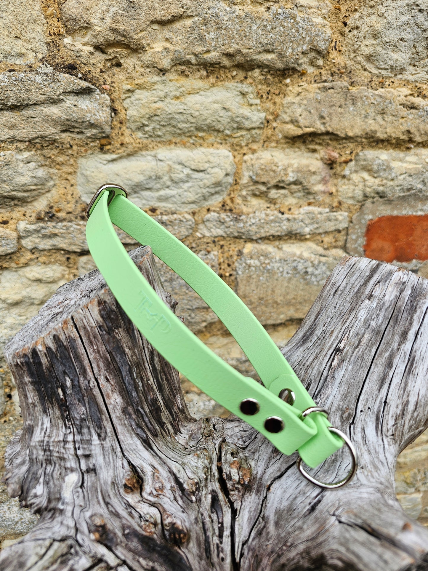 Pistachio Waterproof BioThane® safe-stop Slip Collar