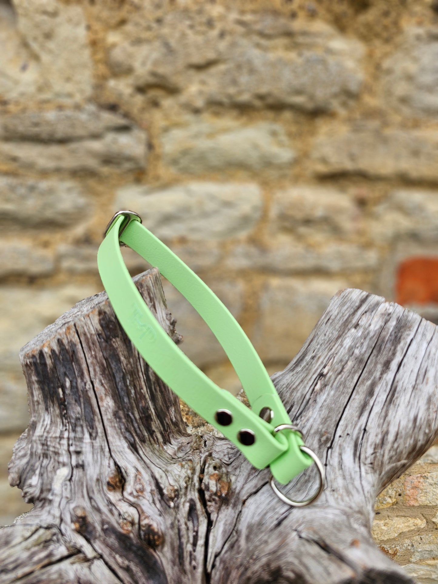 Pistachio Waterproof BioThane® safe-stop Slip Collar