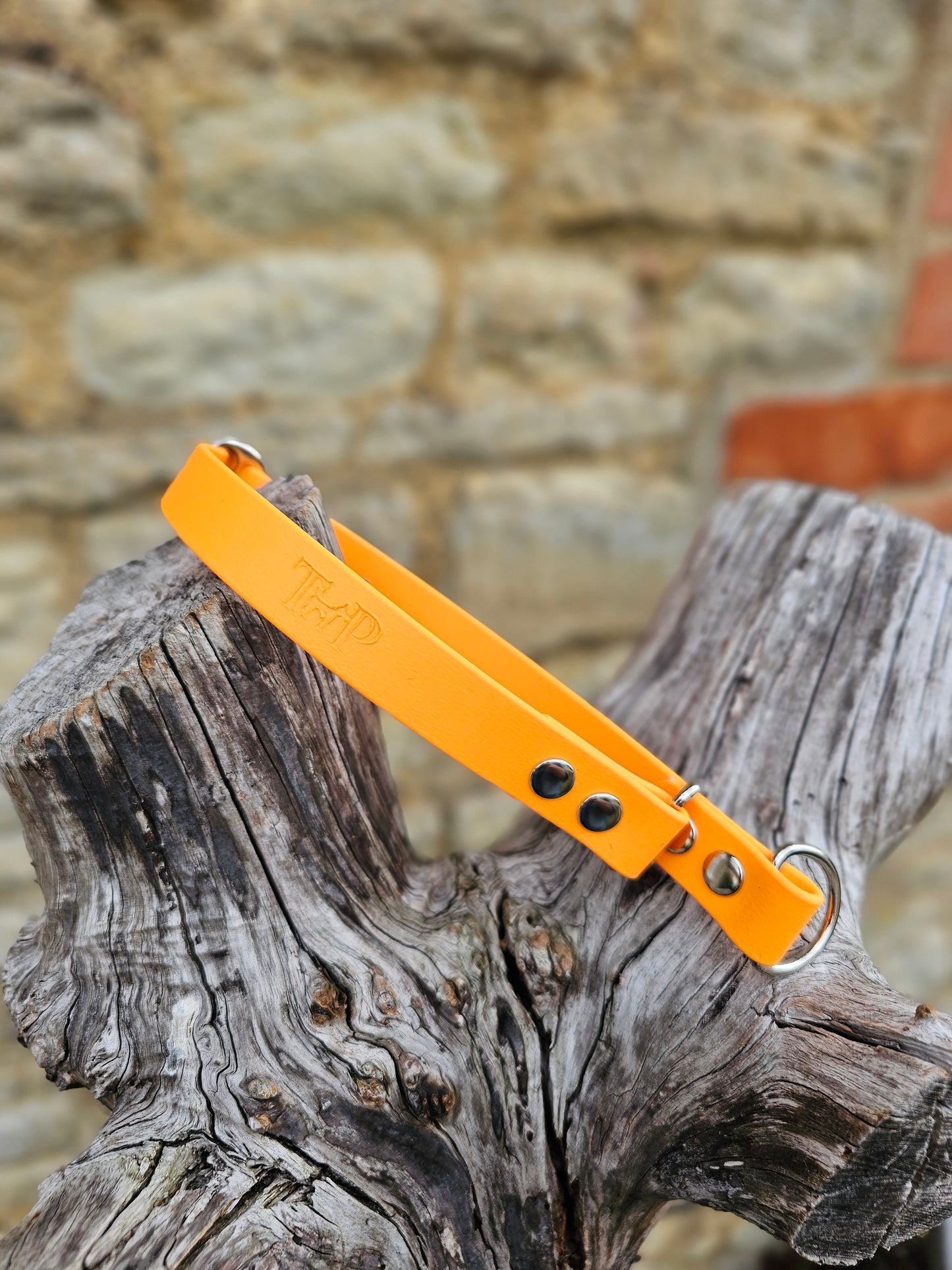 Orange Waterproof BioThane® safe-stop Slip Collar