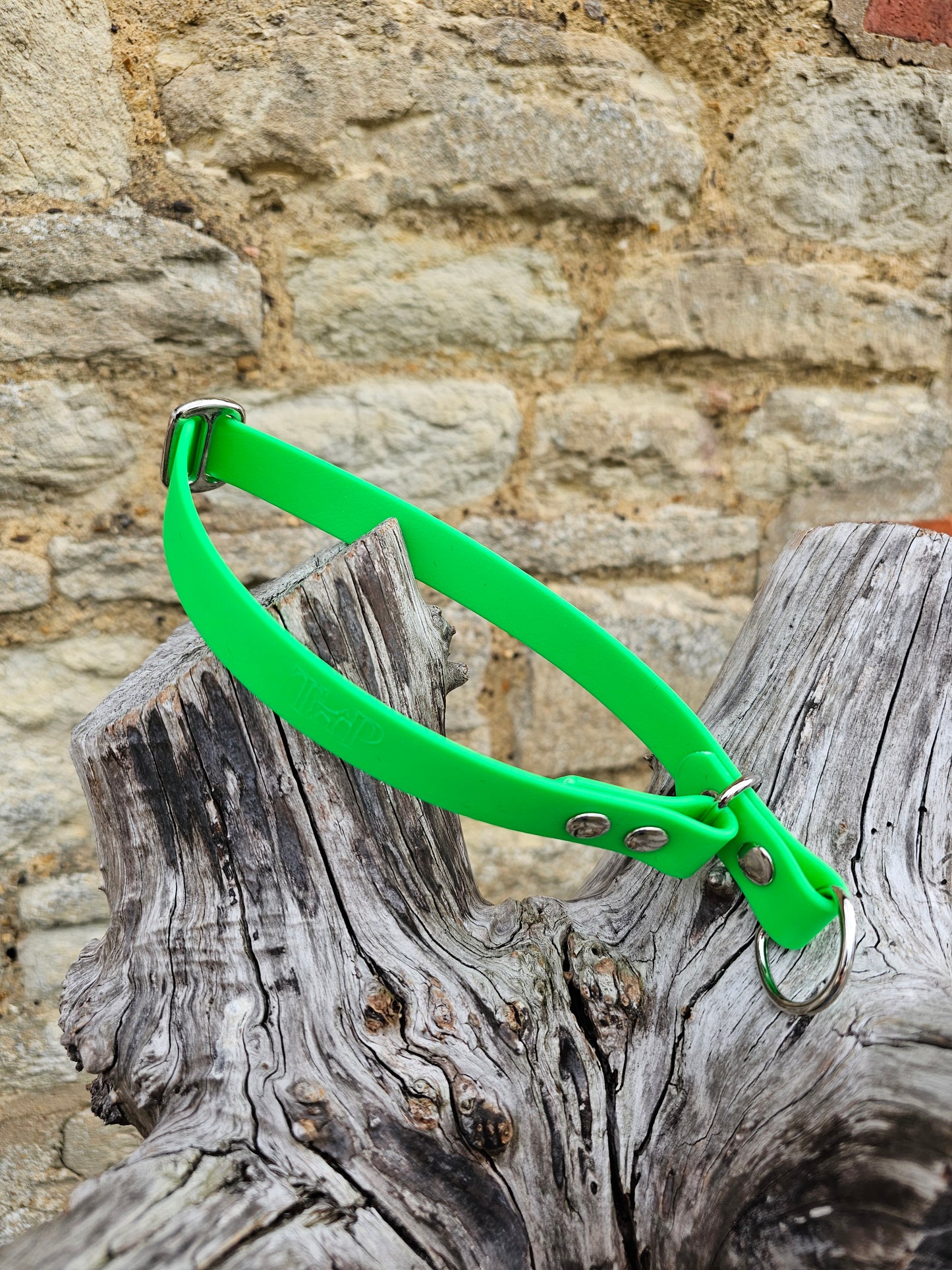 Neon Green Waterproof BioThane® safe-stop Slip Collar