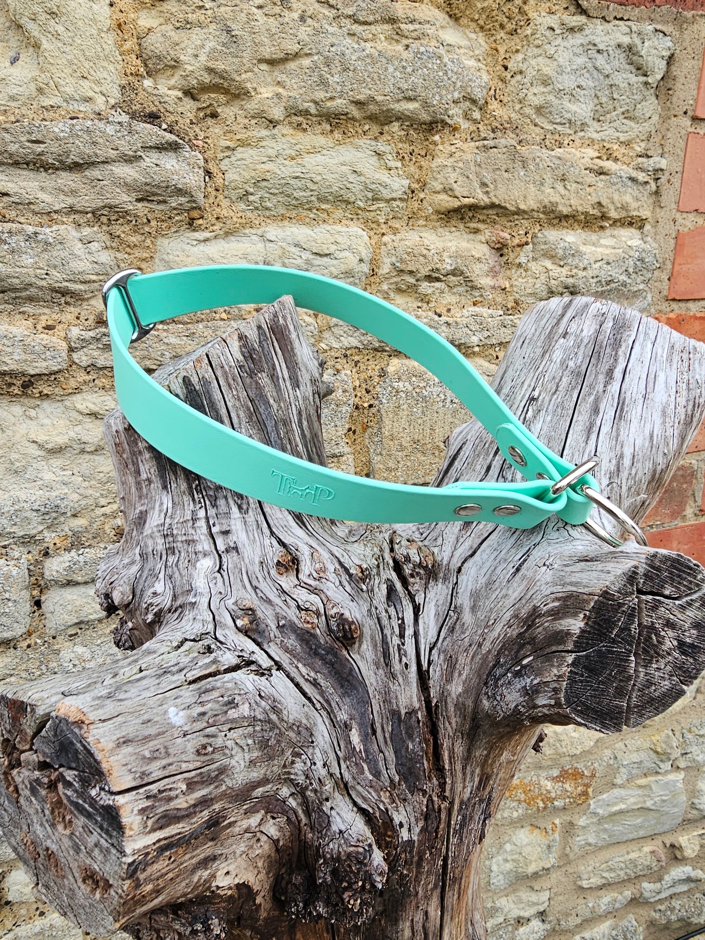 Mint - Waterproof BioThane® safe-stop Slip Collar