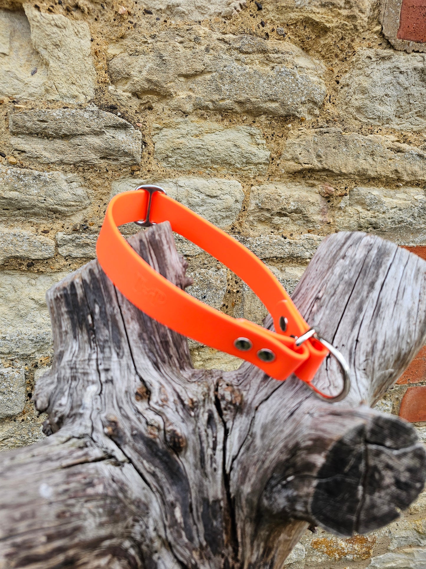 Neon Orange Waterproof BioThane® safe-stop Slip Collar
