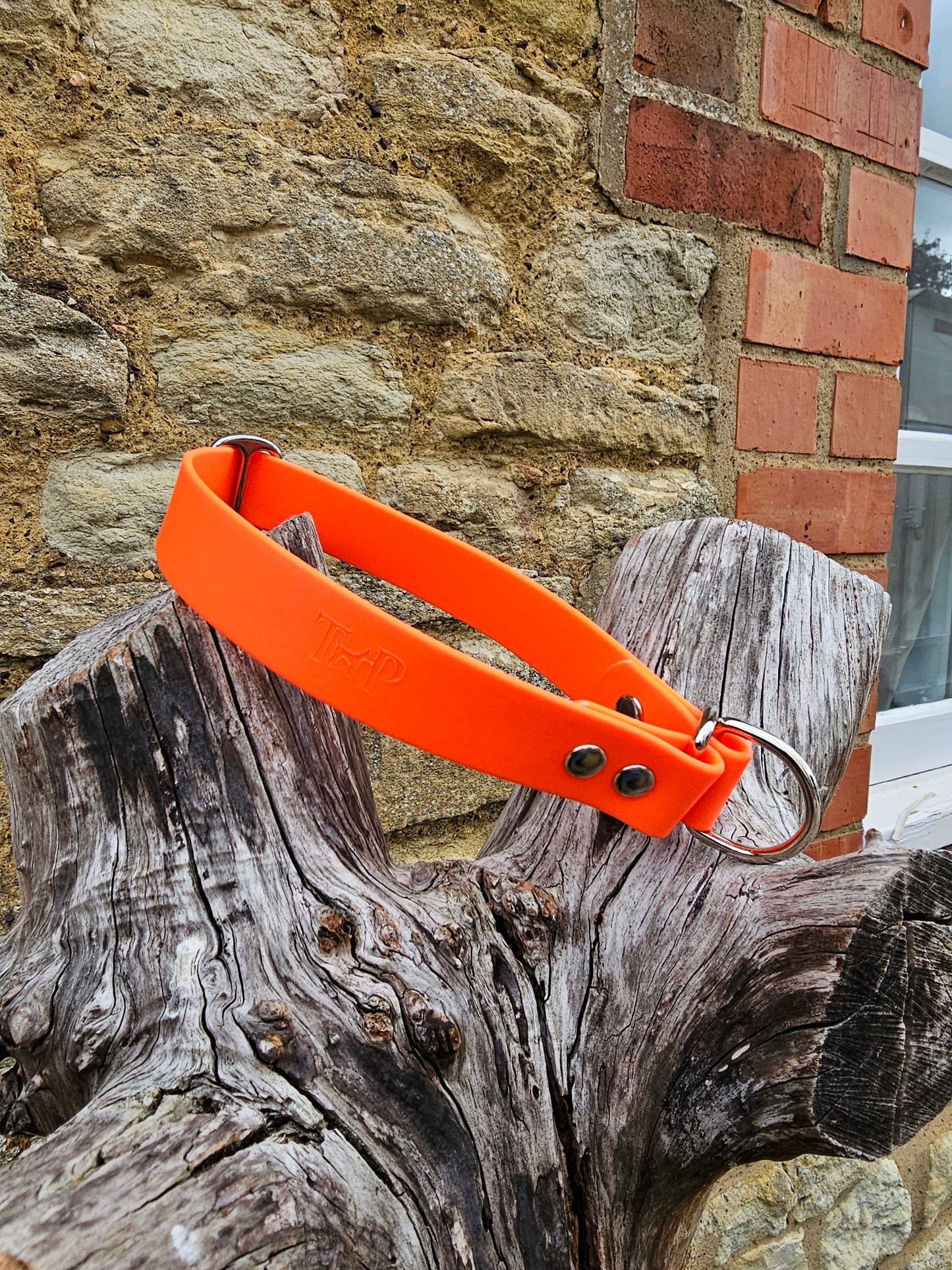 Neon Orange Waterproof BioThane® safe-stop Slip Collar