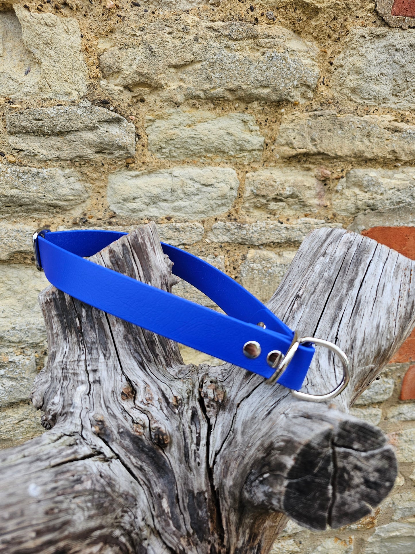 Royal Blue Waterproof BioThane® safe-stop Slip Collar