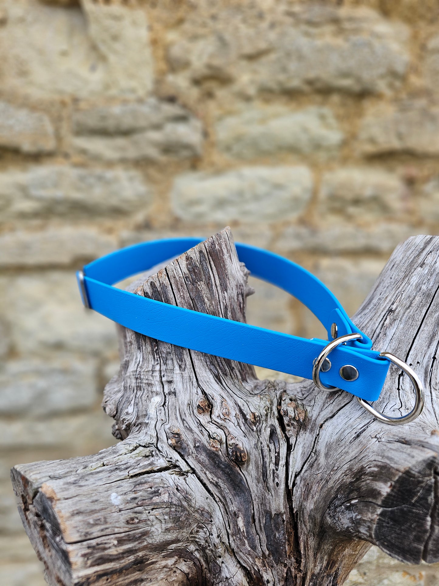 Ocean Blue Waterproof BioThane® safe-stop Slip Collar