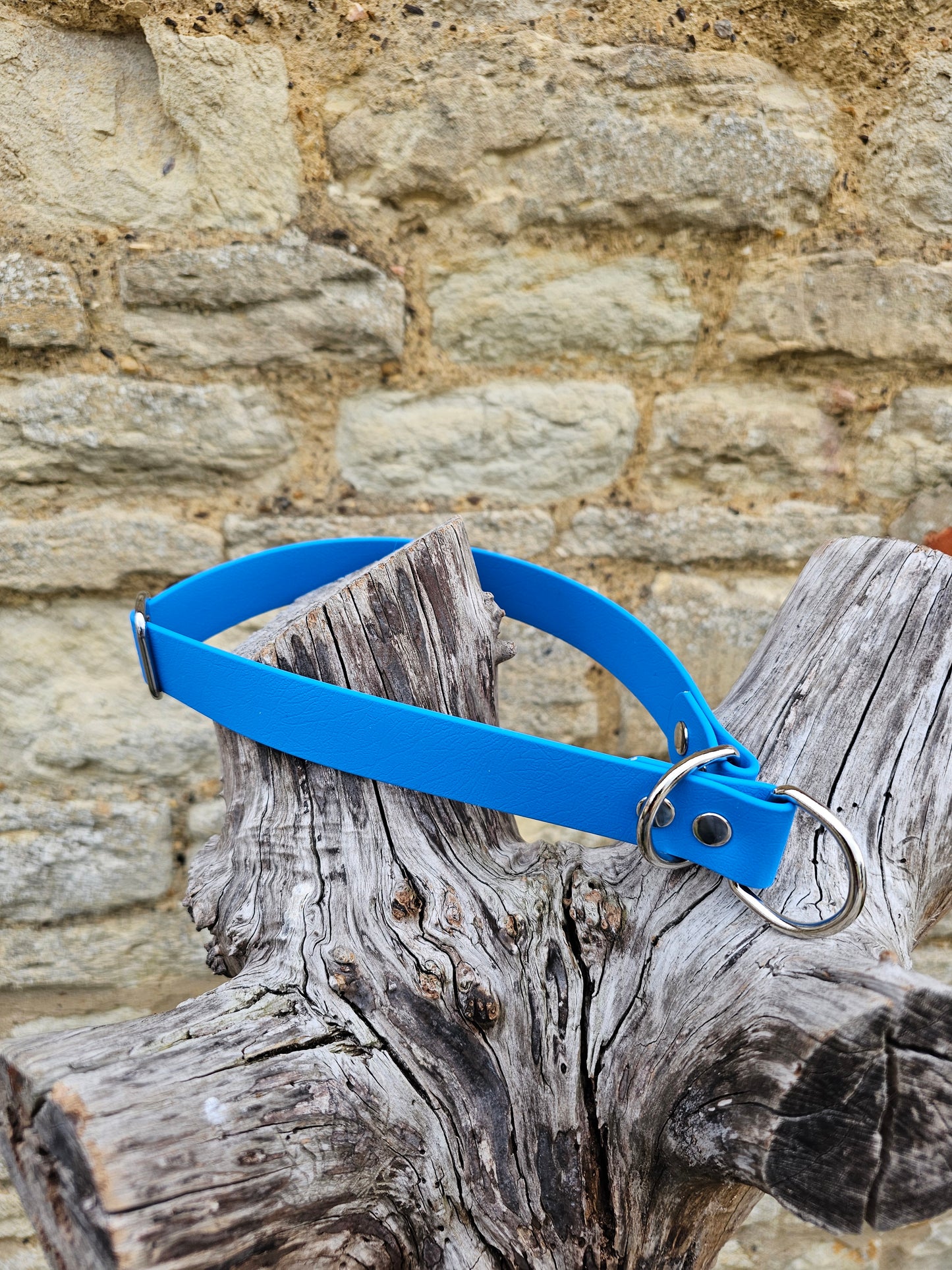 Ocean Blue Waterproof BioThane® safe-stop Slip Collar