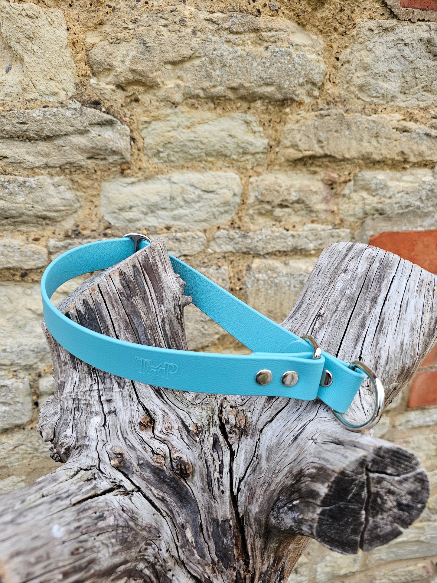 Duckegg Waterproof BioThane® safe-stop Slip Collar