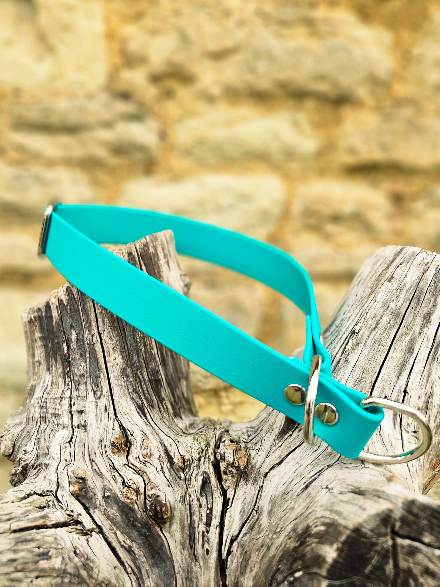 Teal Waterproof BioThane® safe-stop Slip Collar