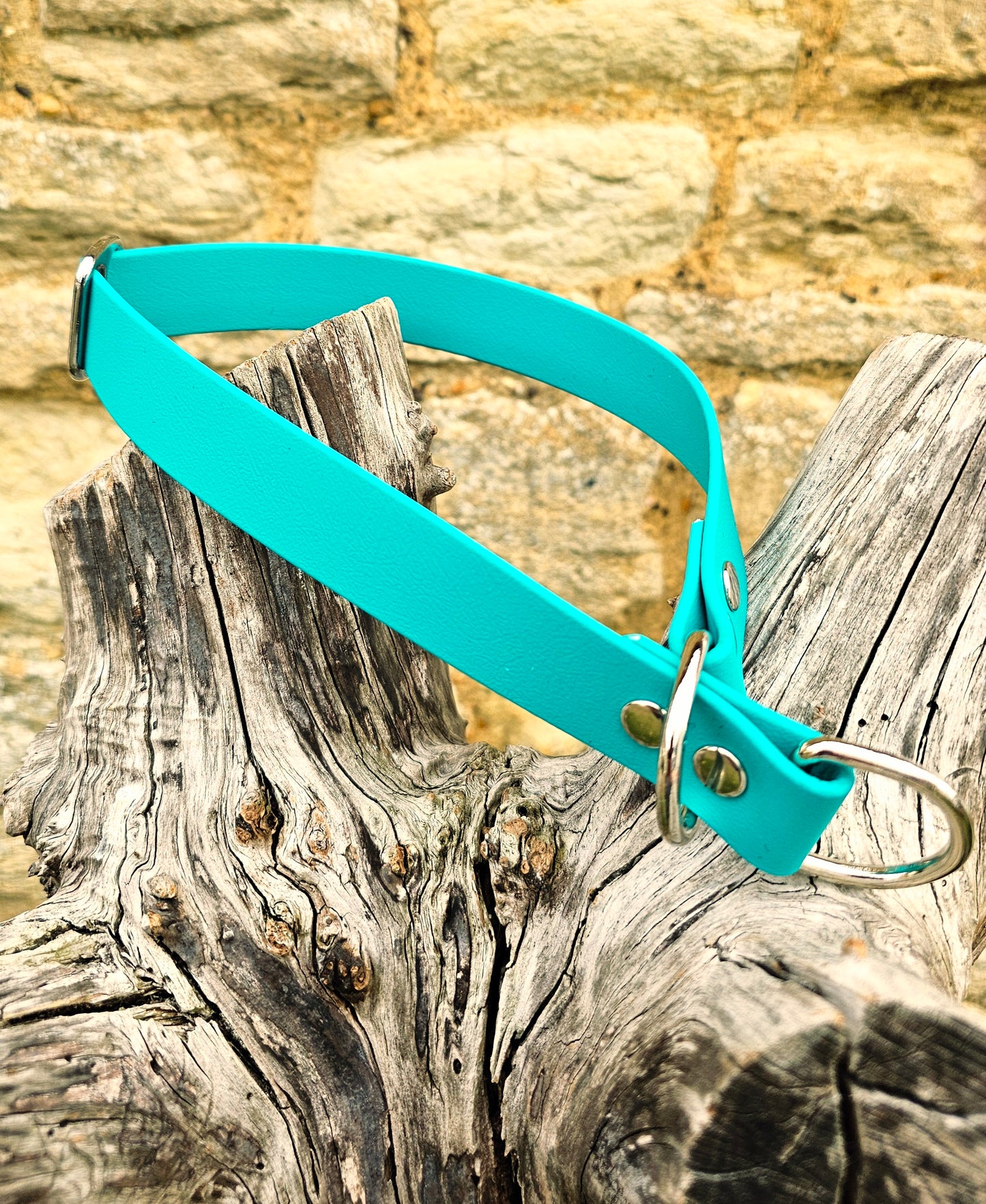 Teal Waterproof BioThane® safe-stop Slip Collar