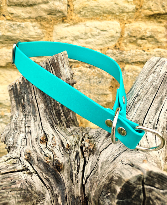Teal Waterproof BioThane® safe-stop Slip Collar