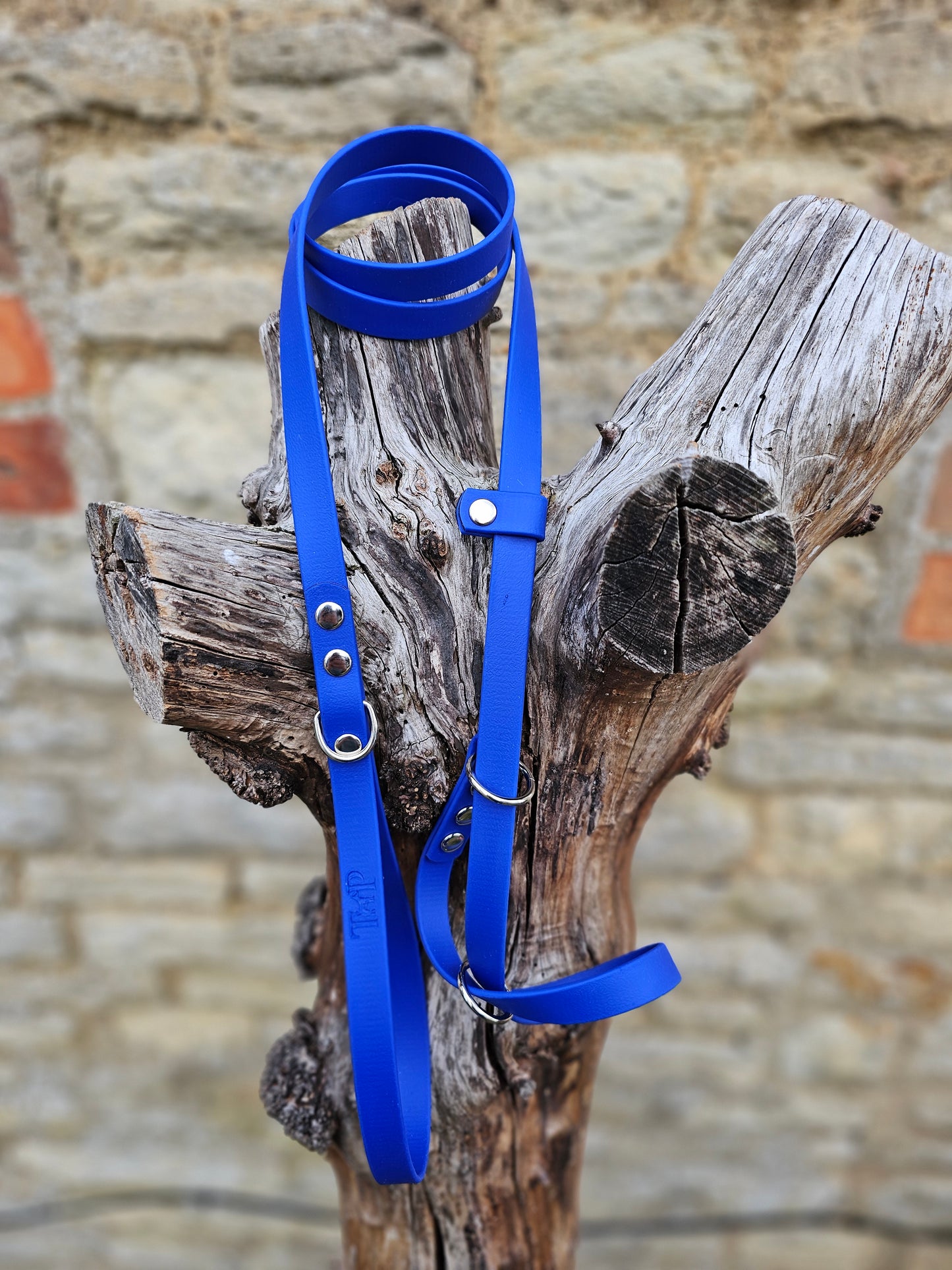 Royal Blue - Waterproof BioThane© Figure8 Dog Lead