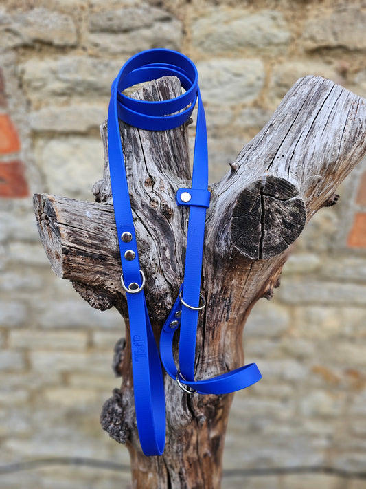 Royal Blue - Waterproof BioThane© Figure8 Dog Lead