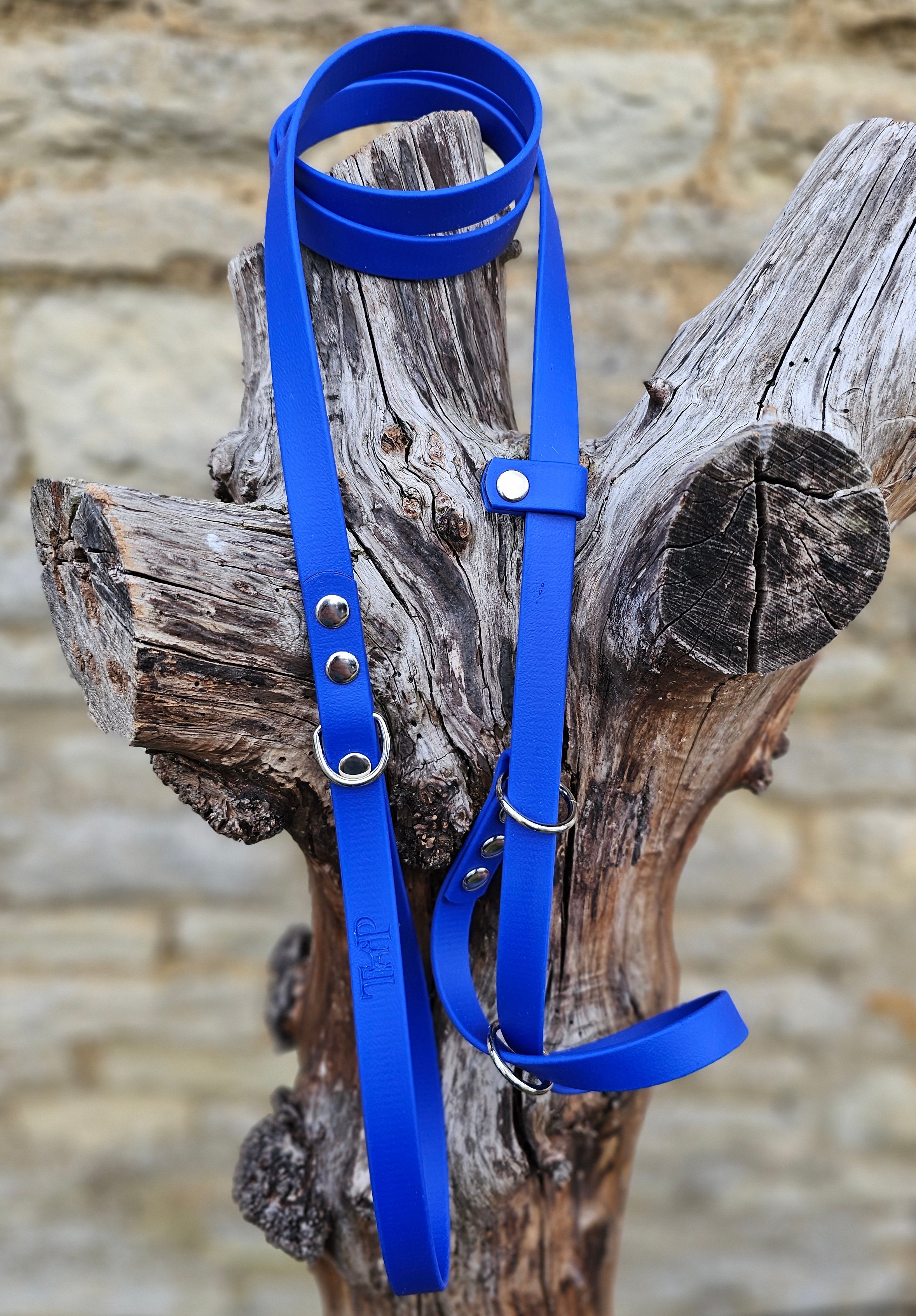 Blue Biothane Figure-8 Lead on a wooden log with a stone wall background