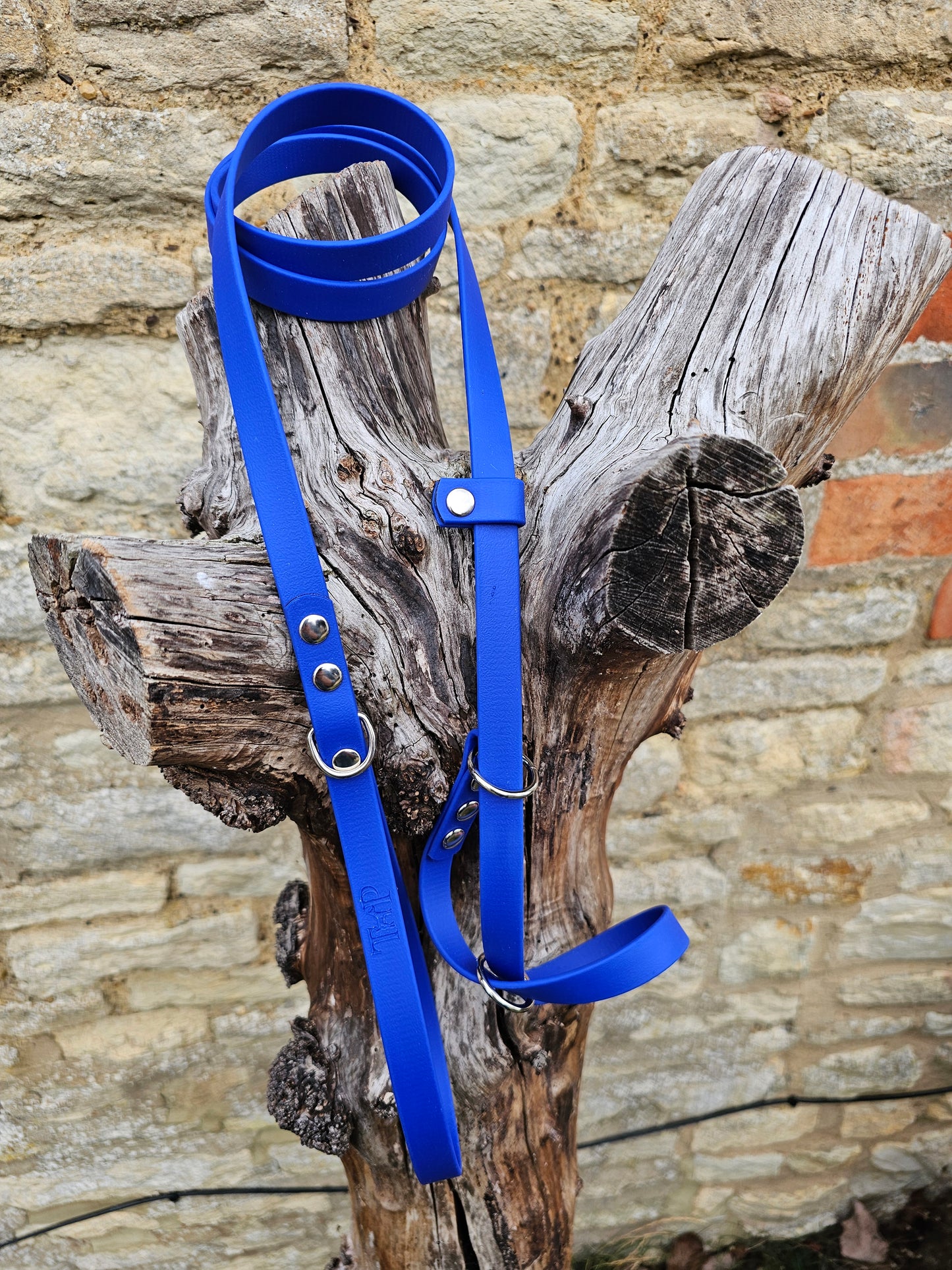 Royal Blue - Waterproof BioThane© Figure8 Dog Lead
