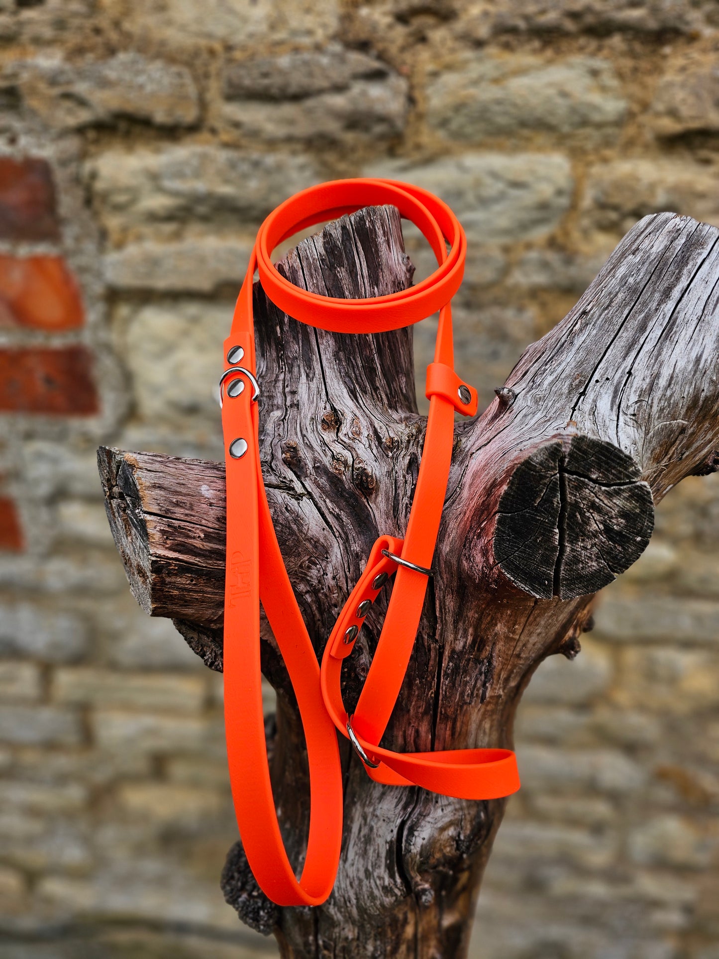 Neon Orange - Waterproof BioThane© Figure8 Dog Lead