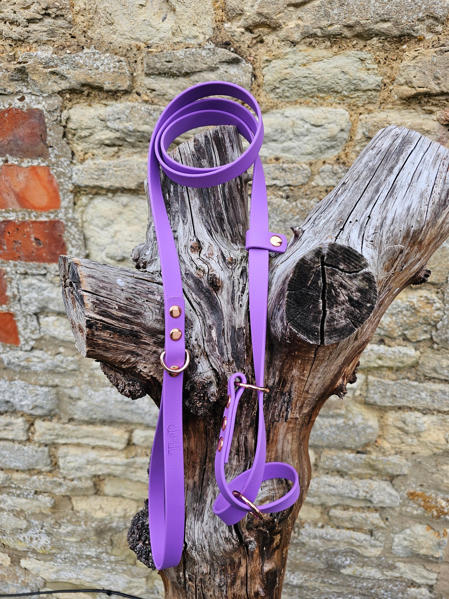 Amethyst - Waterproof BioThane© Figure8 Dog Lead