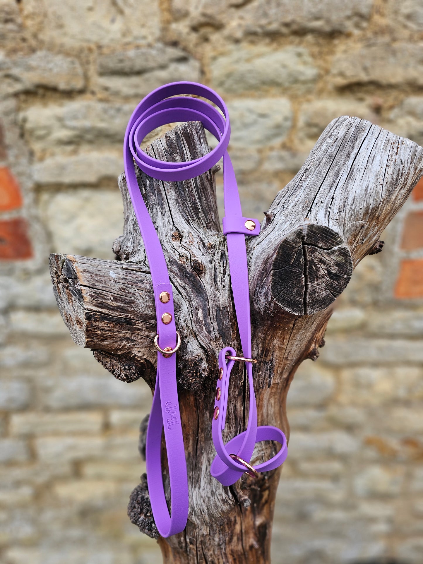 Amethyst - Waterproof BioThane© Figure8 Dog Lead