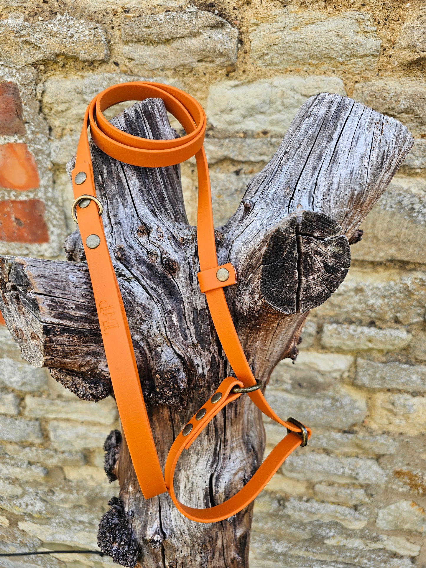 Burnt Orange - Waterproof BioThane® Dog Slip Lead