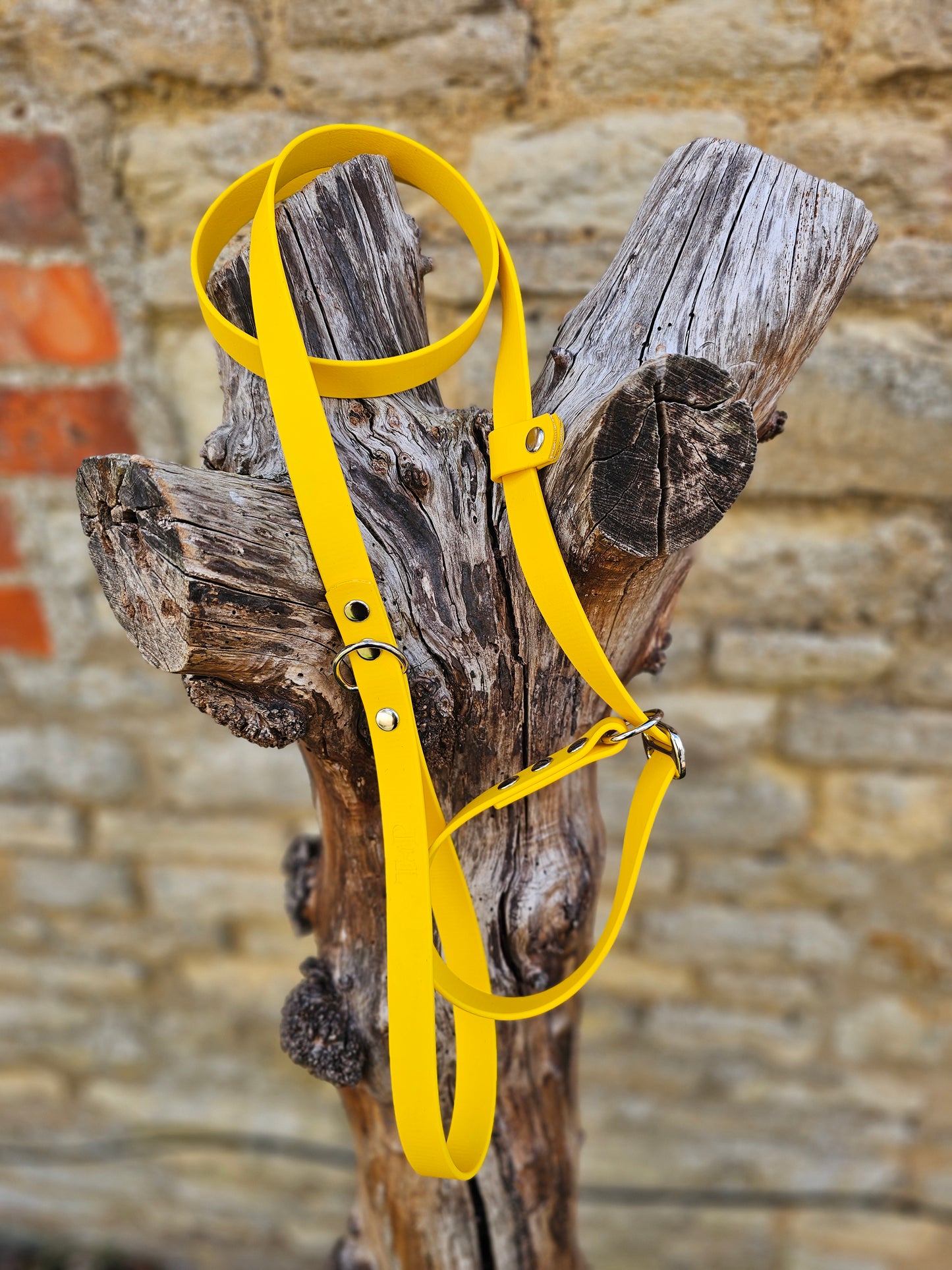 Yellow - Waterproof BioThane® Dog Slip Lead