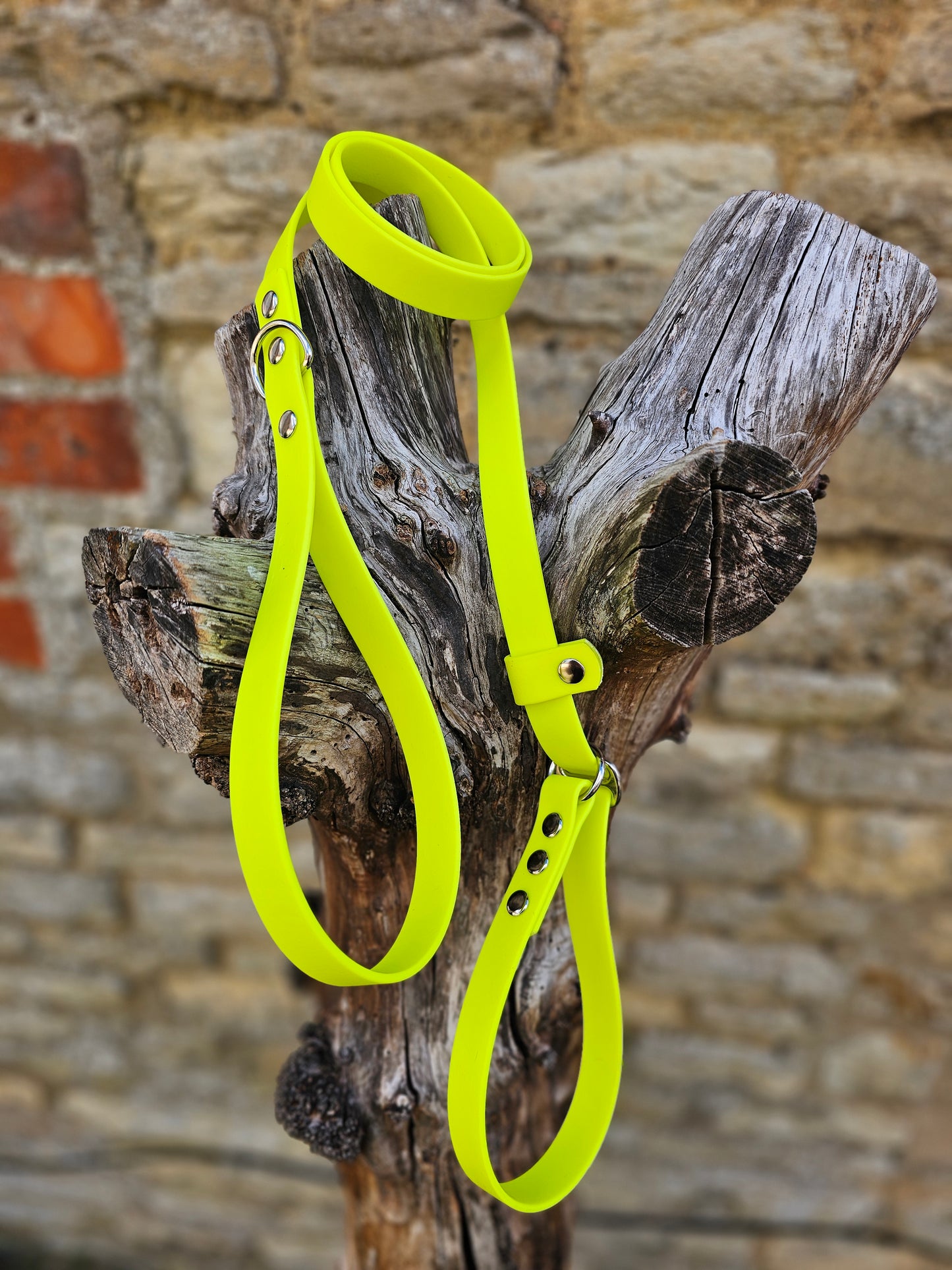 Neon Yellow - Waterproof BioThane® Dog Slip Lead