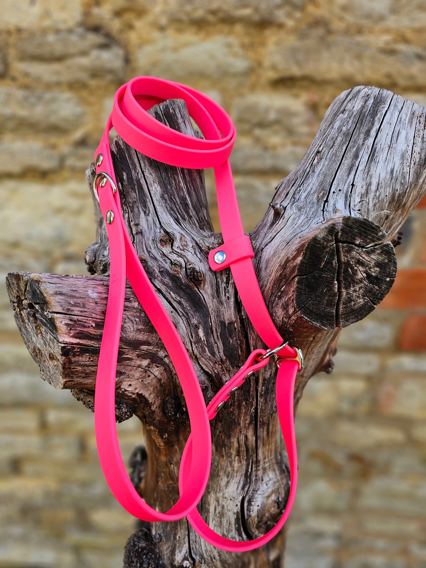 Neon Pink - Waterproof BioThane® Dog Slip Lead