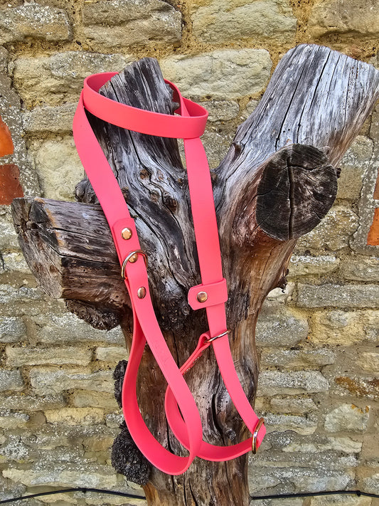 Coral - Waterproof BioThane® Dog Slip Lead