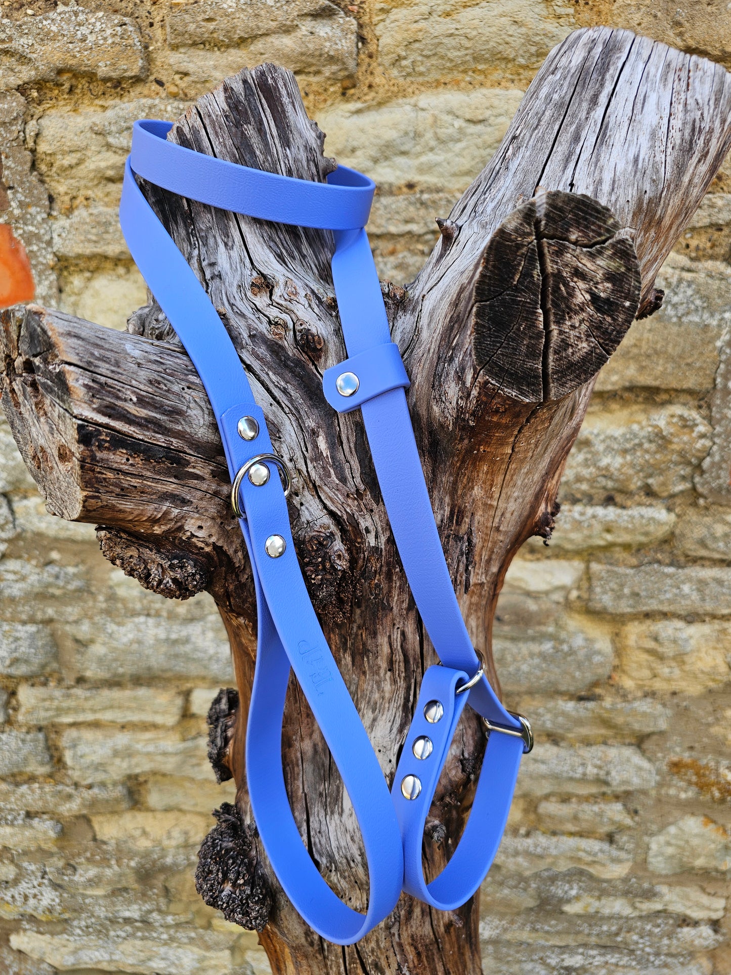 Periwinkle - Waterproof BioThane® Dog Slip Lead
