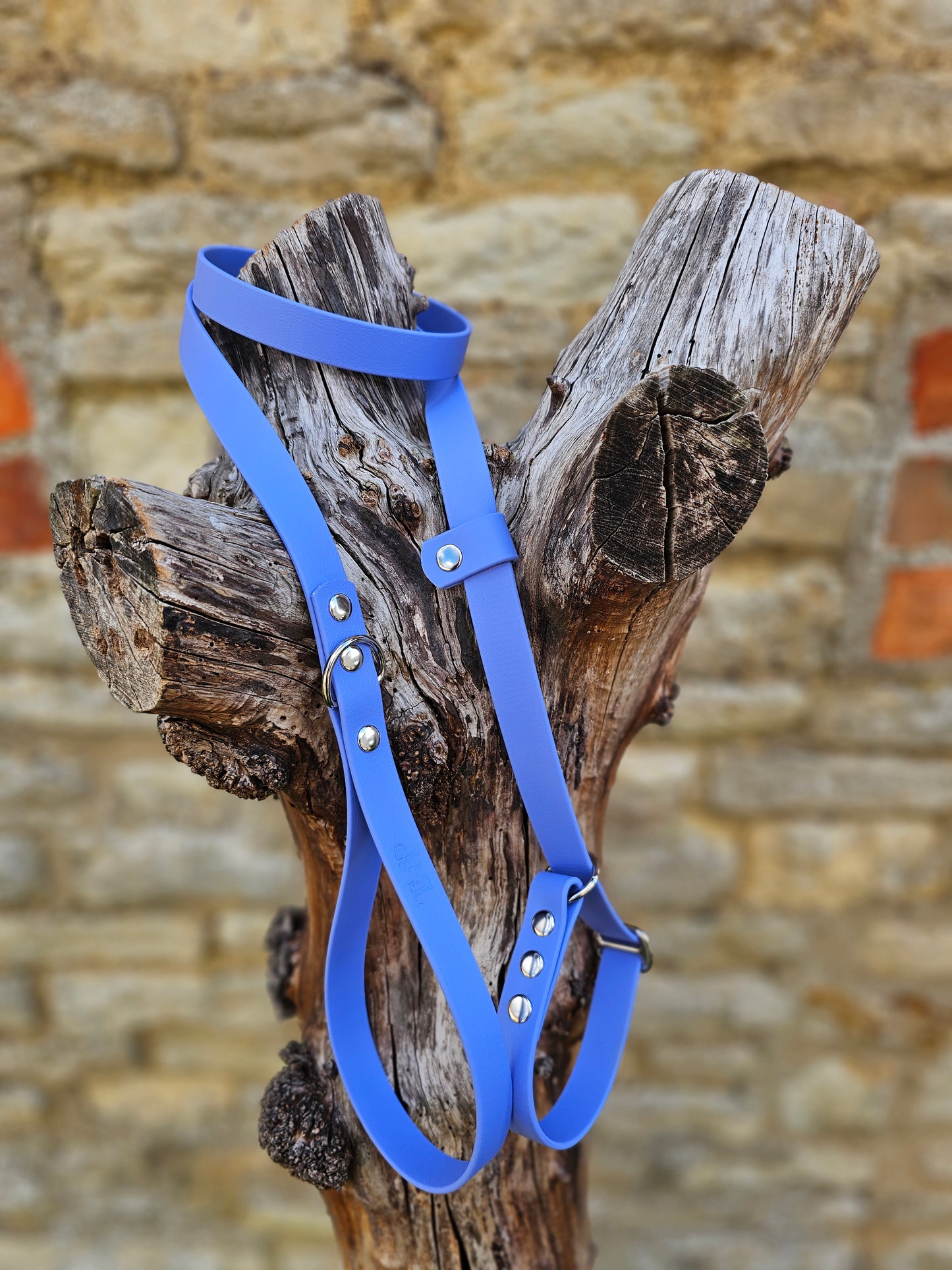 Periwinkle - Waterproof BioThane® Dog Slip Lead