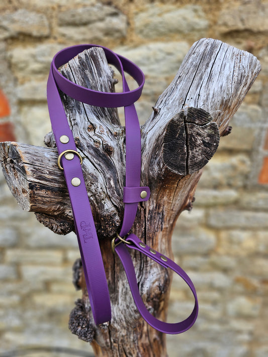 Aubergine - Waterproof BioThane® Dog Slip Lead