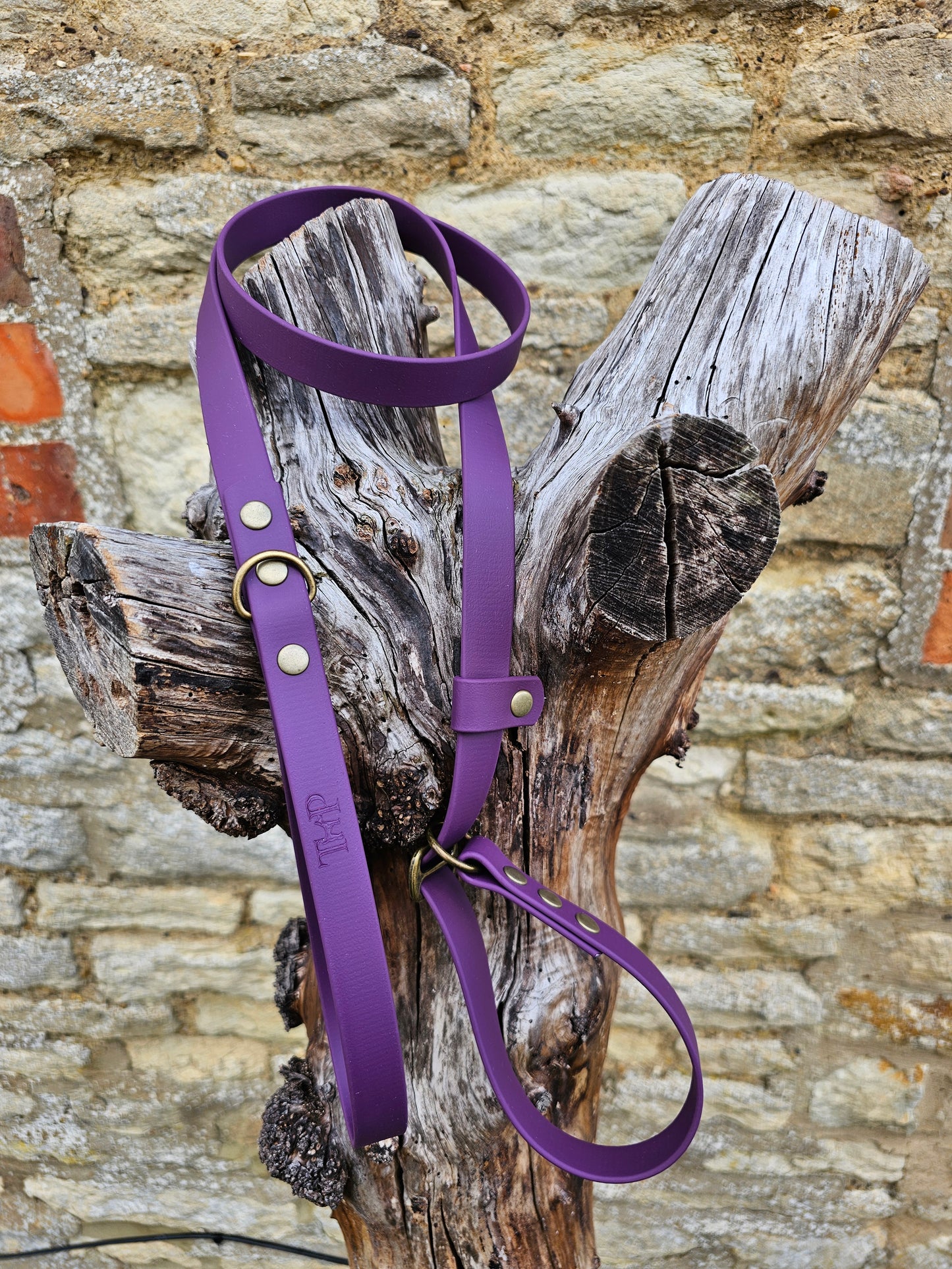 Aubergine - Waterproof BioThane® Dog Slip Lead
