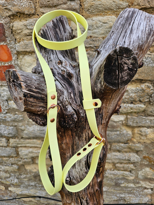 Lemon - Waterproof BioThane® Dog Slip Lead