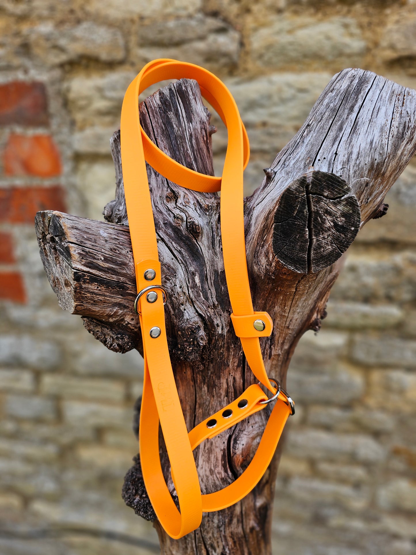 Orange - Waterproof BioThane® Dog Slip Lead