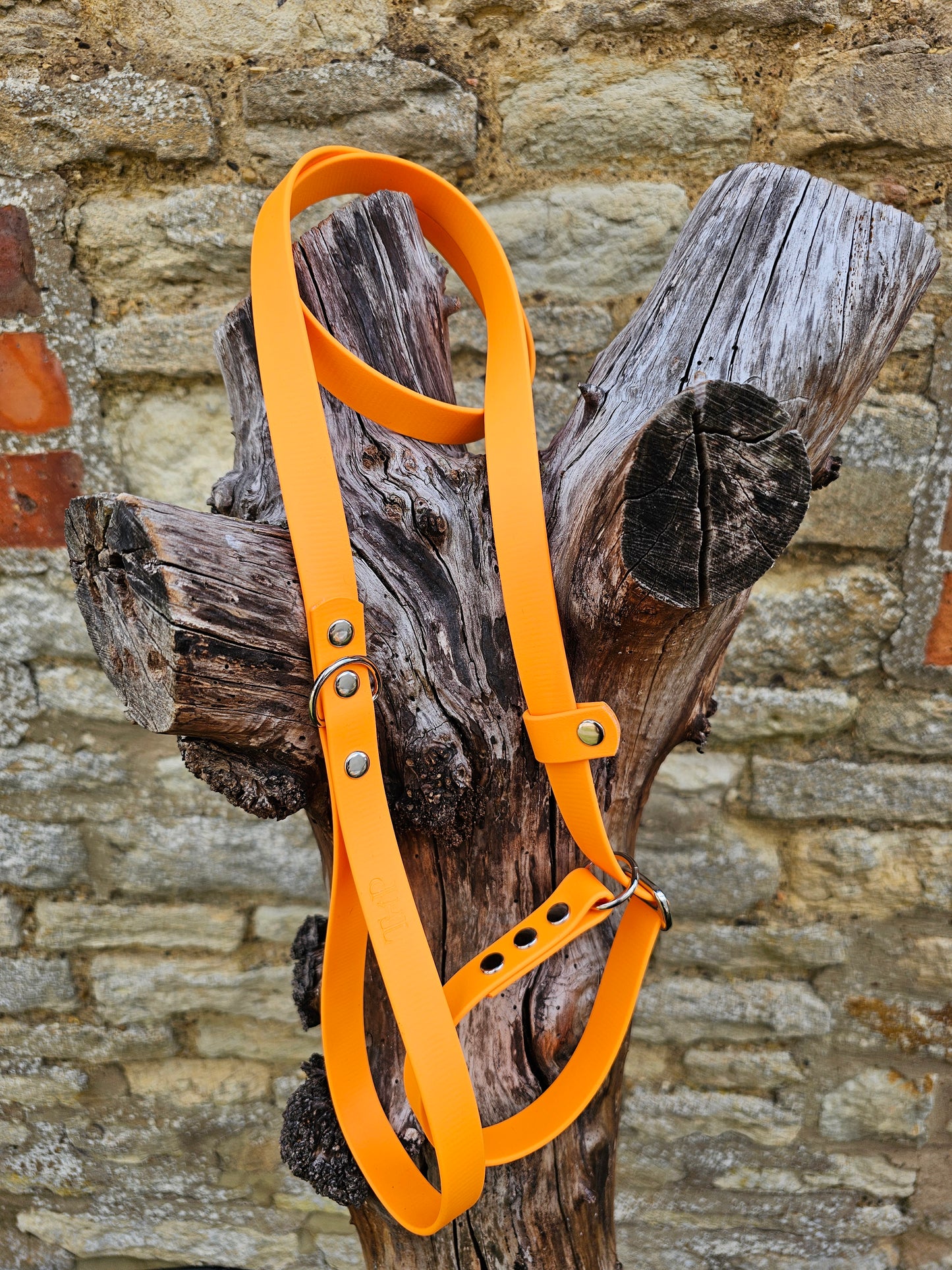 Orange - Waterproof BioThane® Dog Slip Lead