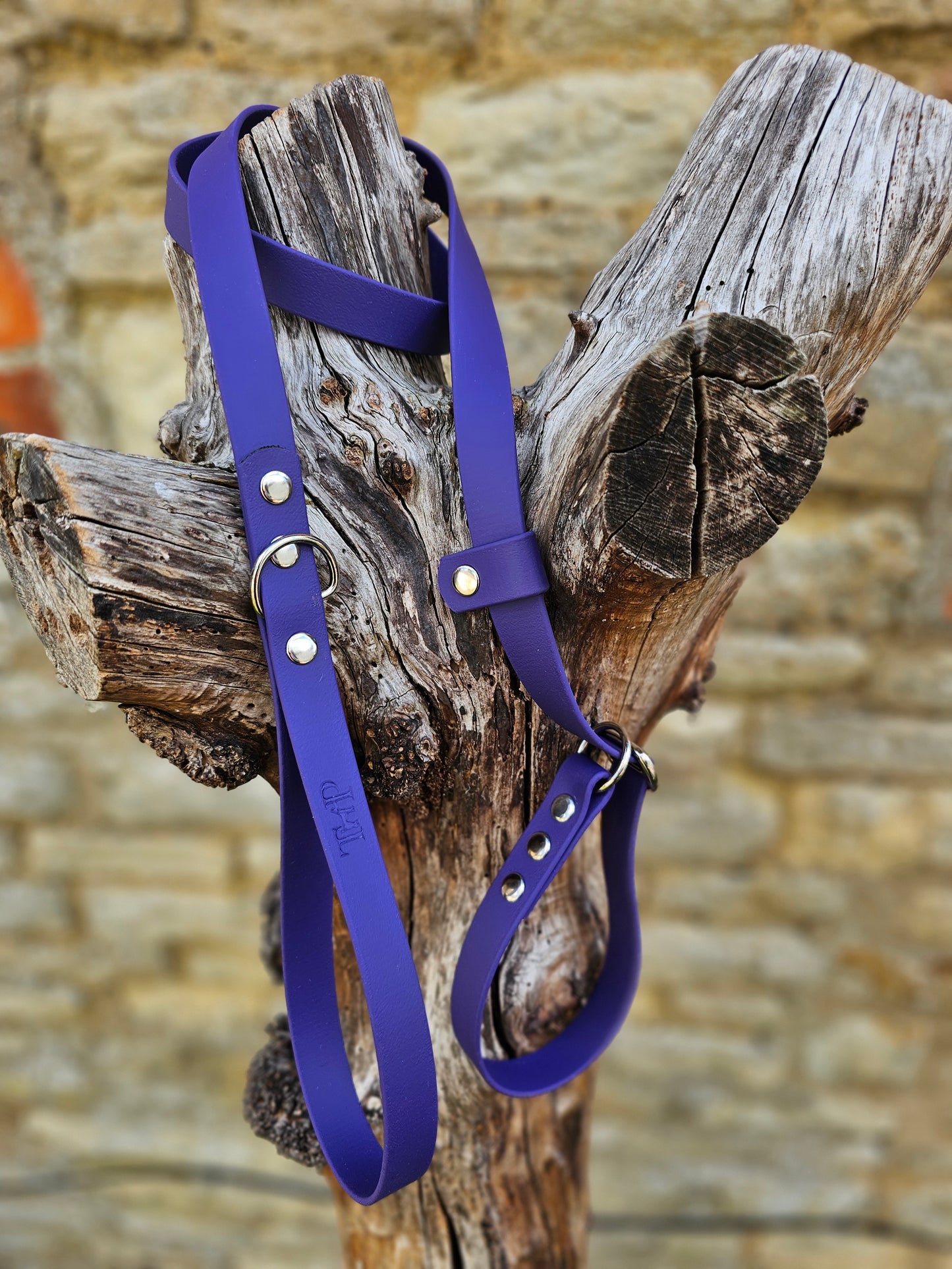 Purple - Waterproof BioThane® Dog Slip Lead