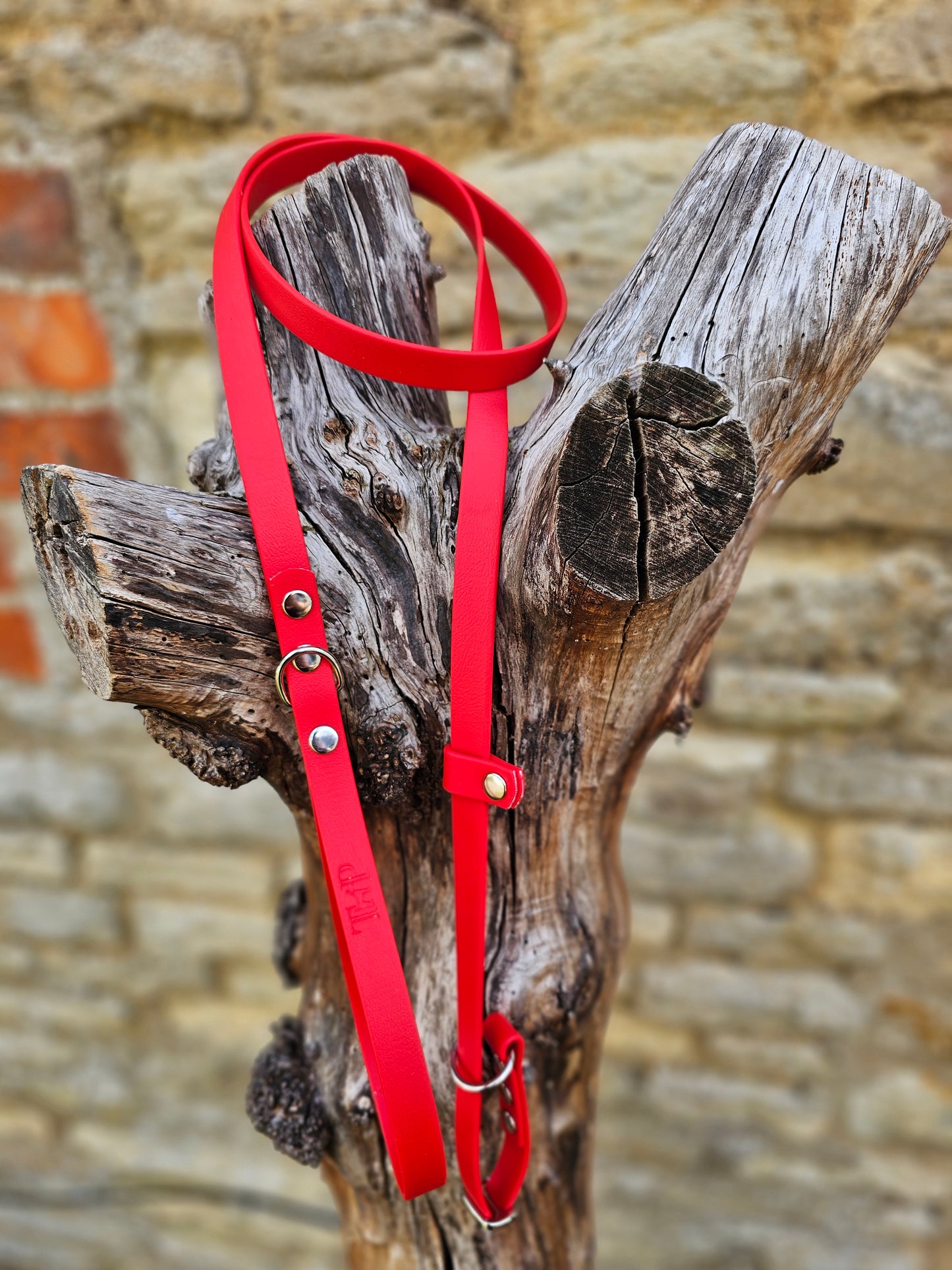 Red - Waterproof BioThane® Dog Slip Lead