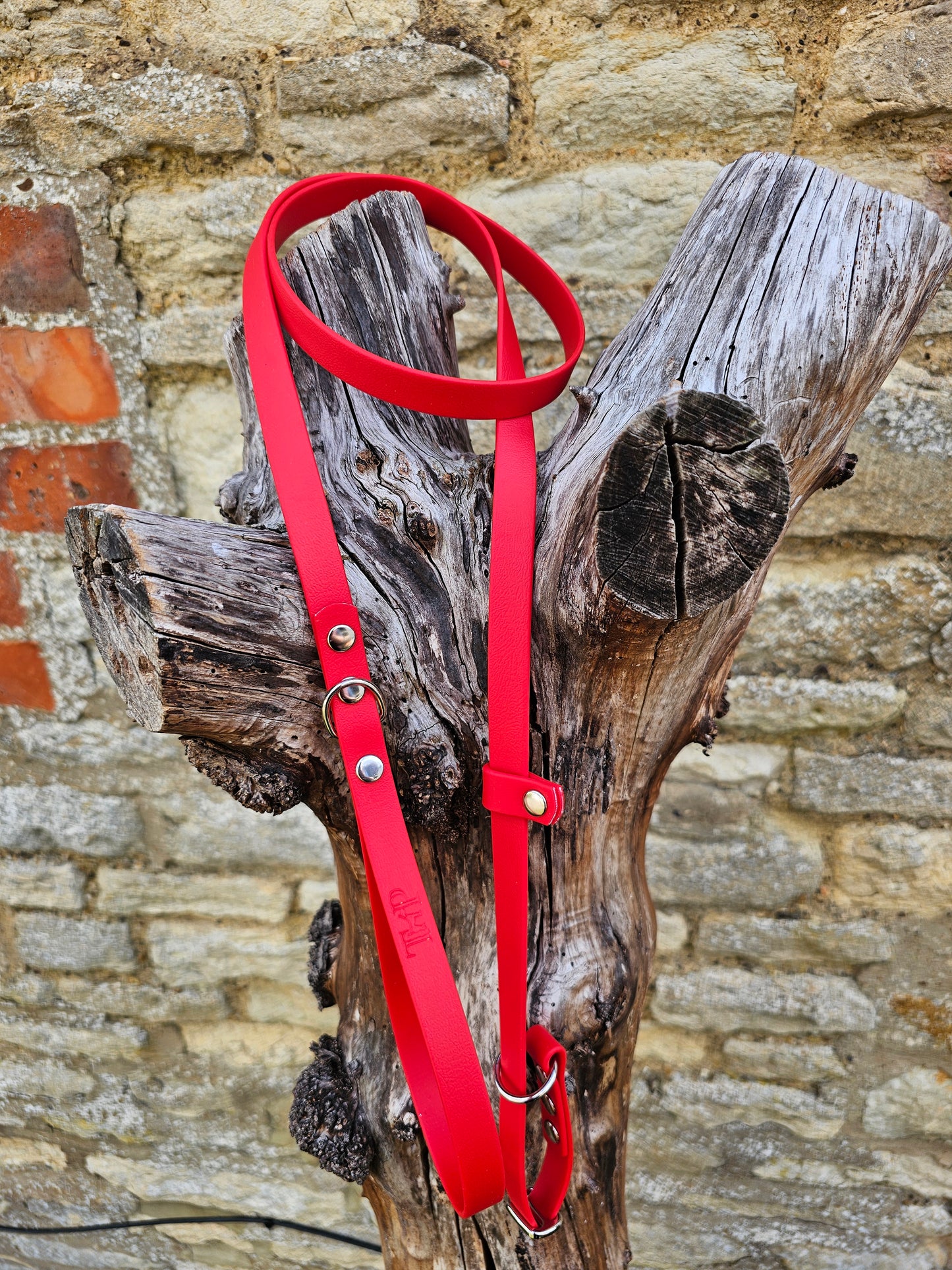 Red - Waterproof BioThane® Dog Slip Lead