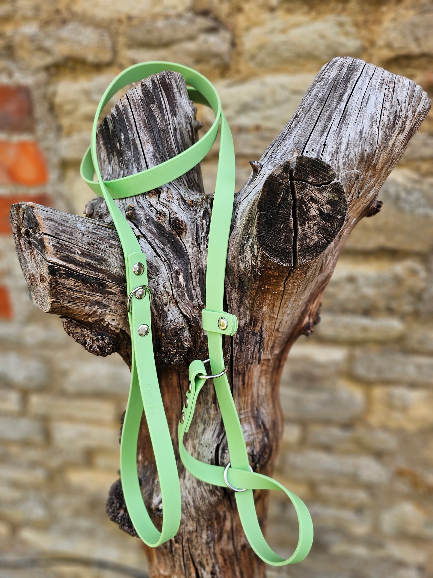 Pistachio - Waterproof BioThane© Figure8 Dog Lead