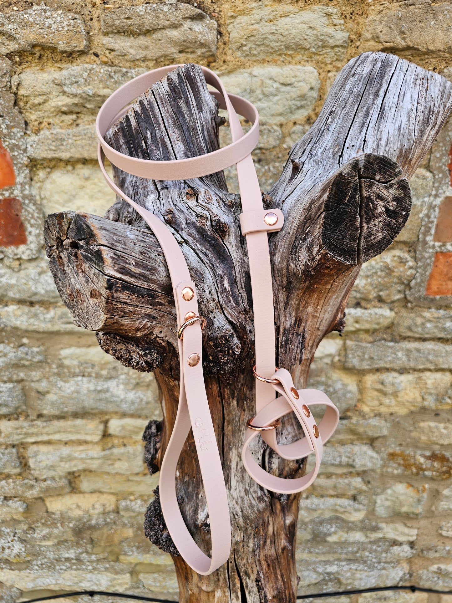 Powder Pearl - Waterproof BioThane© Figure8 Dog Lead