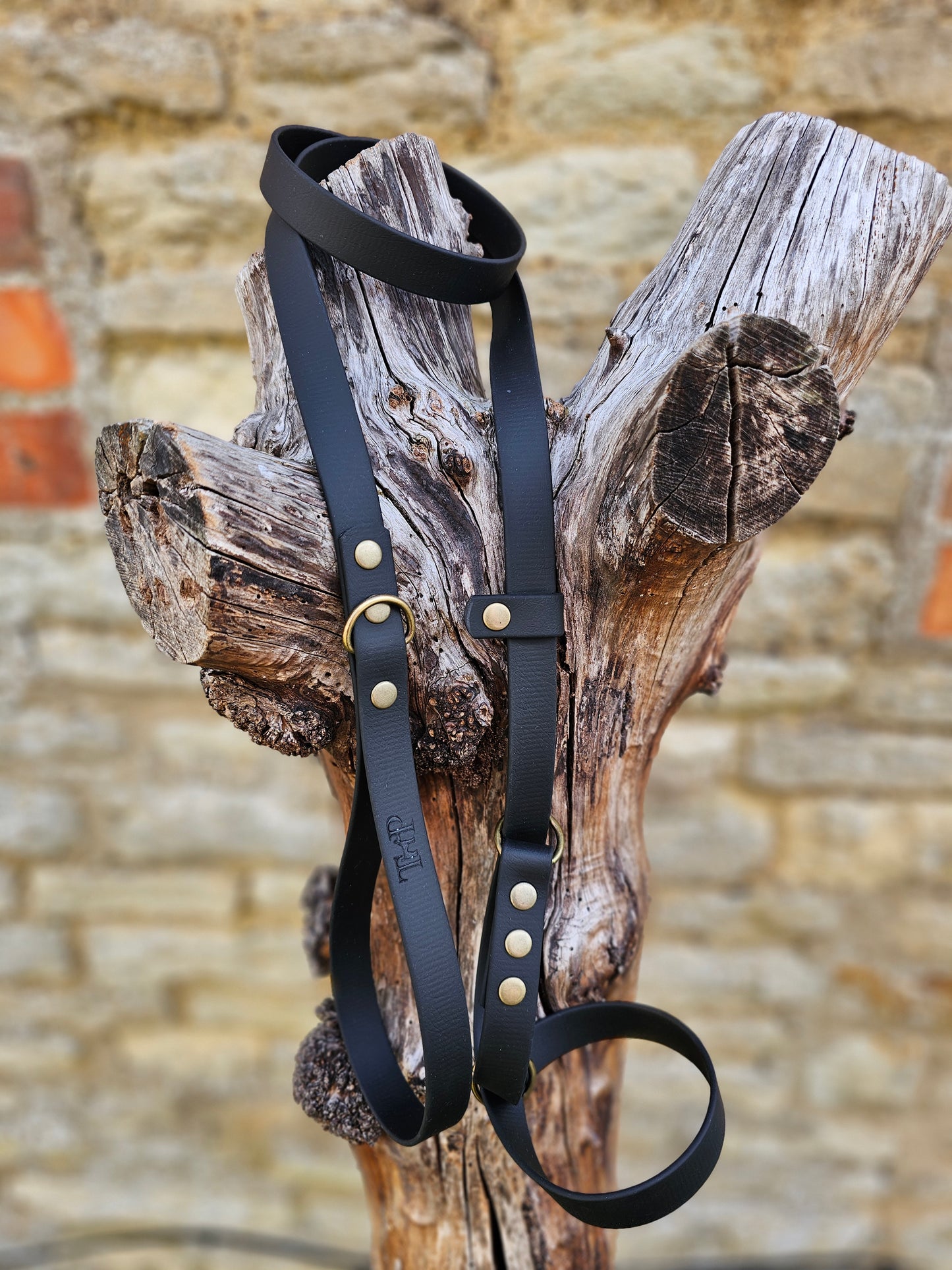 Black - Waterproof BioThane© Figure8 Dog Lead